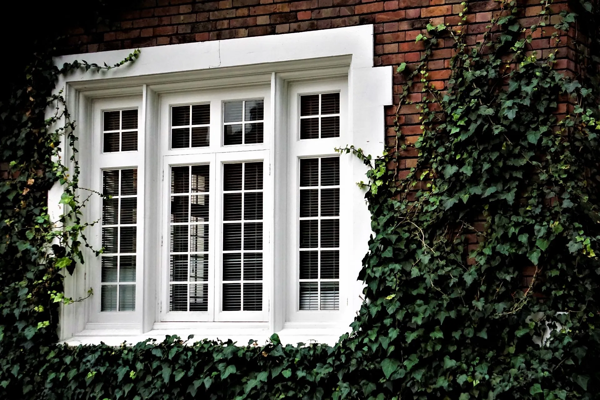 timber window